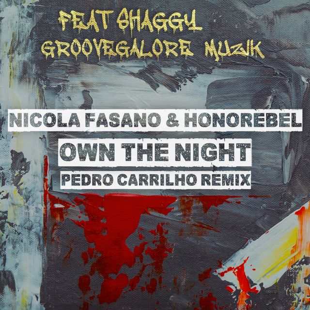 Own the Night - Pedro Carrilho Radio Mix