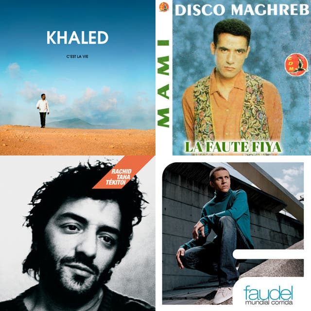 Khaled, Cheb Mami, Faudel, Cheb Hasni, Rachid Taha, Raina Rai, Cheb Bilal, Reda Taliani MIX