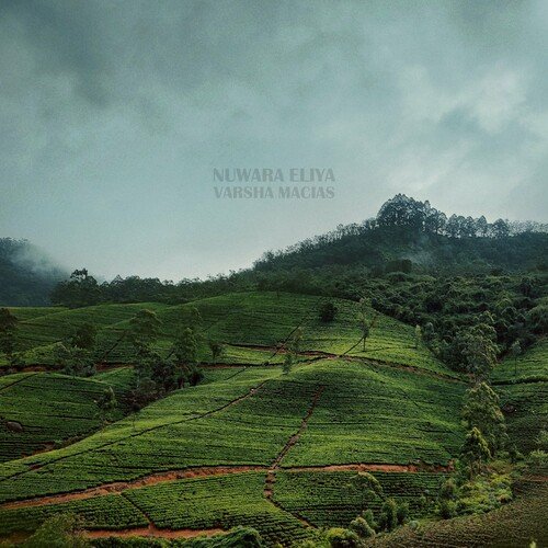 Nuwara Eliya