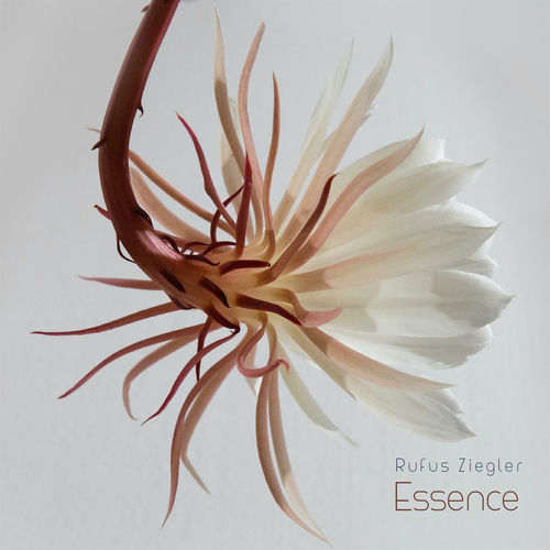 Essence