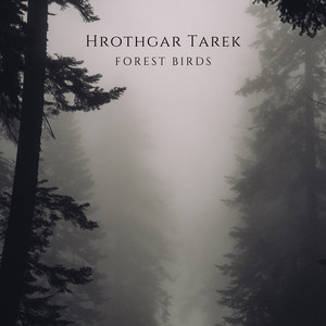 Forest Birds (432 Hz)