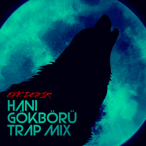 Hani Gökbörü - Trap mix