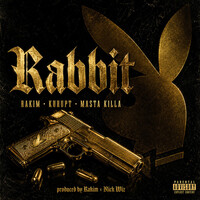Rabbit