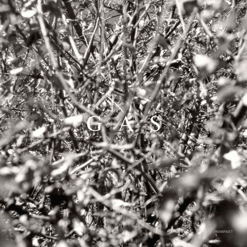 Der Wald