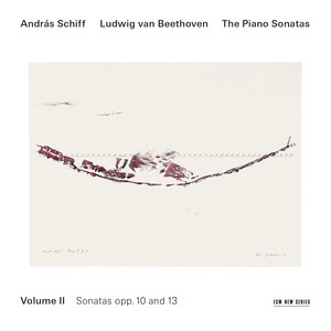 Piano Sonata No. 8 in C Minor, Op. 13 "Pathétique": I. Grave – Allegro di molto e con brio - Live