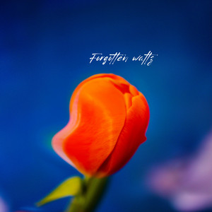 Forgotten waltz