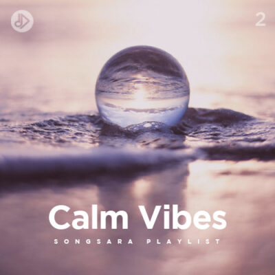 Calm Vibes 2 (Playlist)