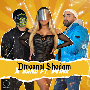Divoonat Shodam