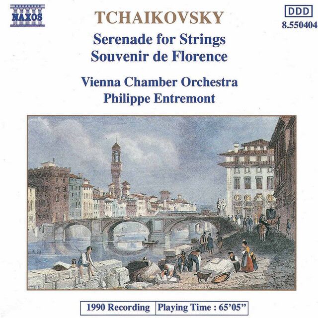 Serenade for Strings in C Major, Op. 48, TH 48: III. Elegie