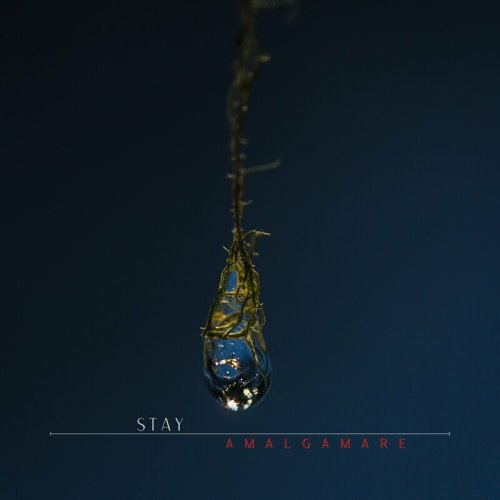Stay