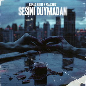 Sesini Duymadan