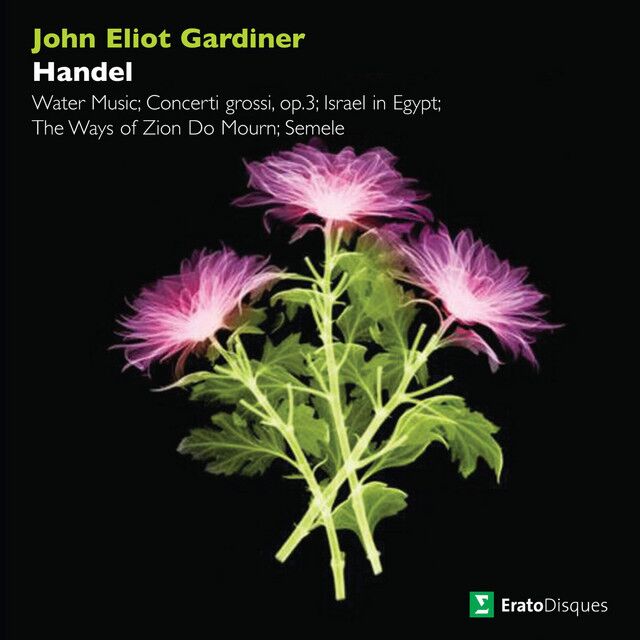 Handel : Concerto grosso in F major Op.3 No.4a : II Andante