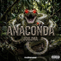 Anaconda