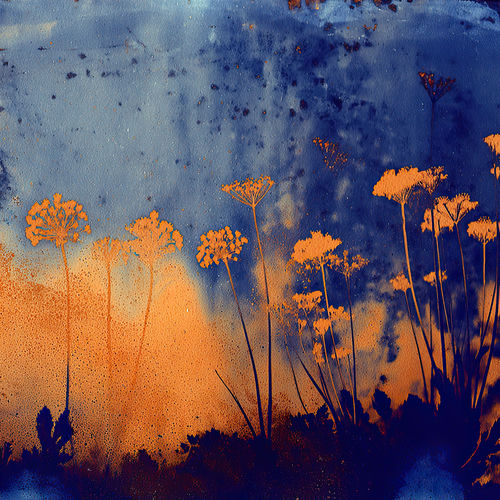 Slow Dawn
