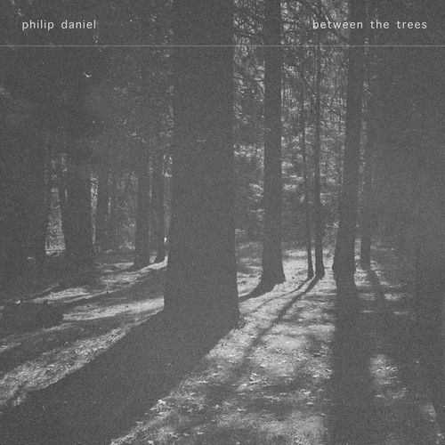 between the trees
