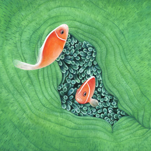 Lost Fish