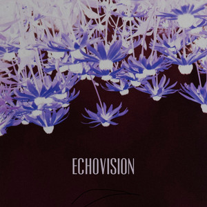 Echovision