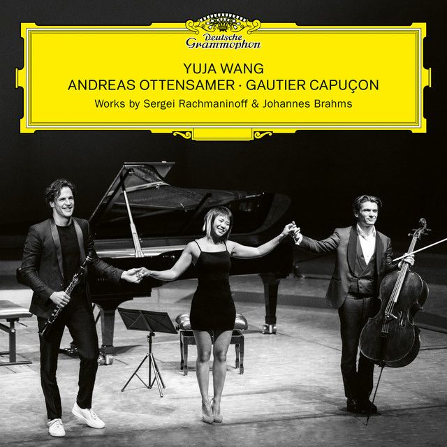 Clarinet Trio in A Minor, Op. 114: I. Allegro