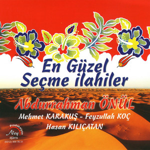 Mevlana Gibi