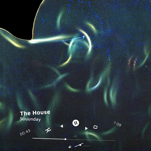 The House