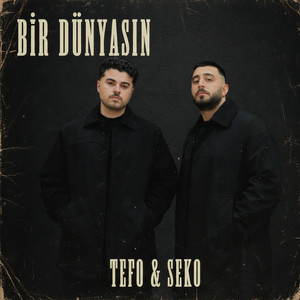 Bir Dünyasın
