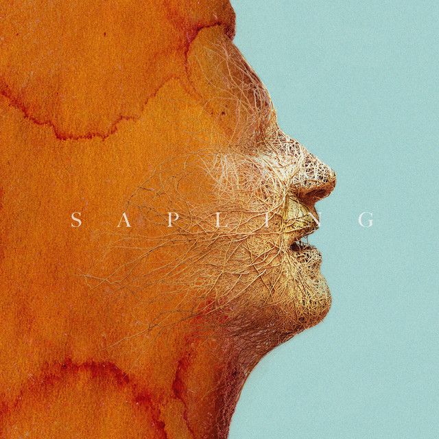 Sapling (feat. Rag'n'Bone Man) - Jonasu Remix