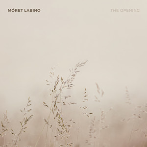 The Opening