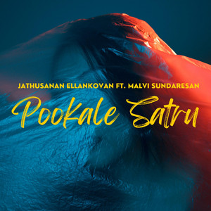 Pookale Satru (Lofi)