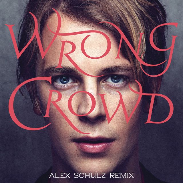 Wrong Crowd - Alex Schulz Remix