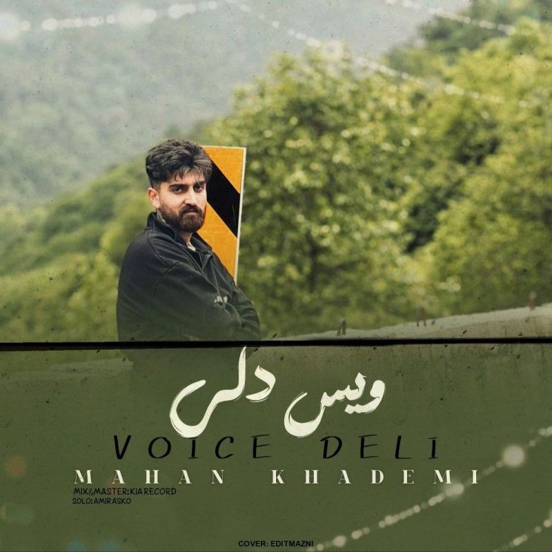 ویس دلی
