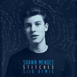 Stitches - Seeb Remix