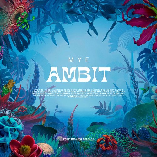 Ambit