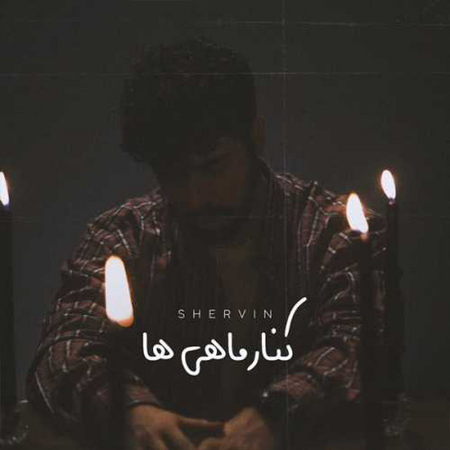 کنار ماهی‌ها
