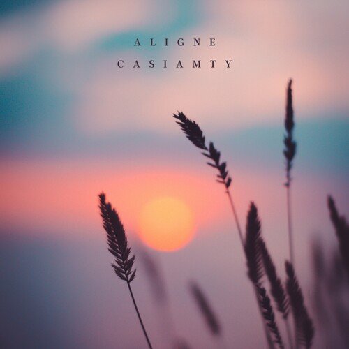 Aligne