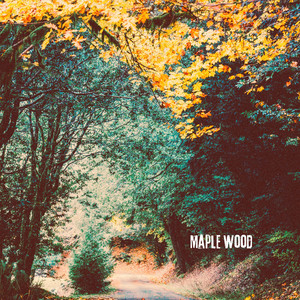 Maple Wood