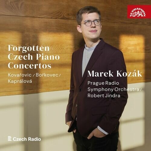 Piano Concerto in D Minor, Op. 7: I. Allegro entusiastico