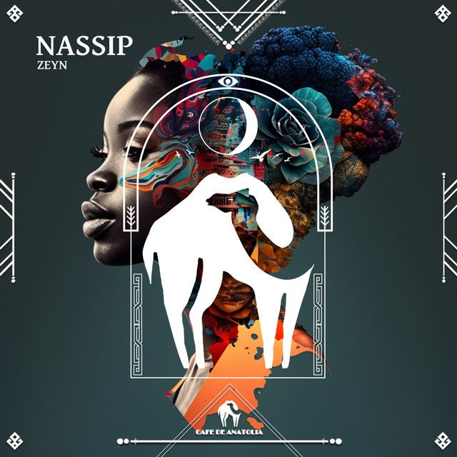 Nassip