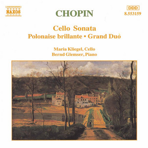 Cello Sonata in G Minor, Op. 65, B. 160: III. Largo