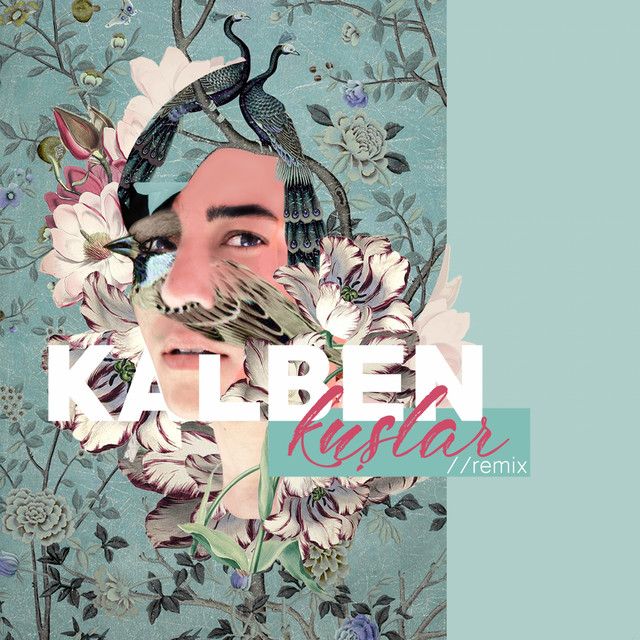 Kuşlar - Remix