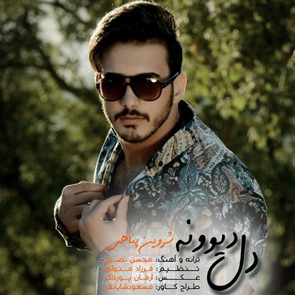 دل دیوونه