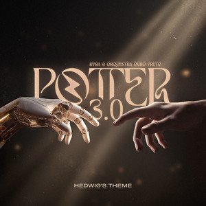 Potter 3.0 - Hedwig’s Theme - Radio Mix