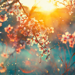 Spring