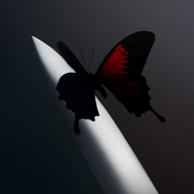 Love/Hate Letter To Alcohol (with Fleet Foxes)