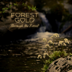 Through the Forest