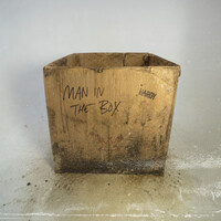 Man In The Box
