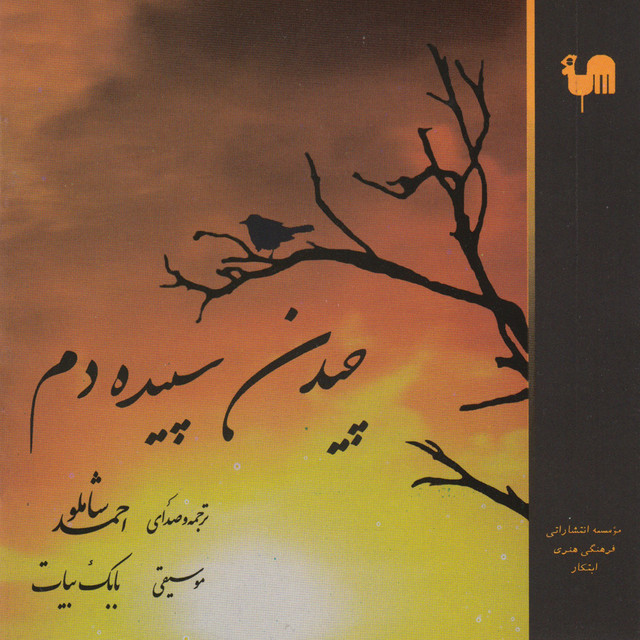 زورق