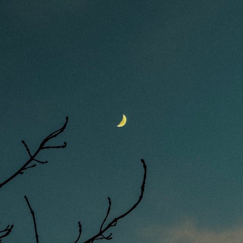 falling in the night