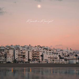 Moments in Moonlight