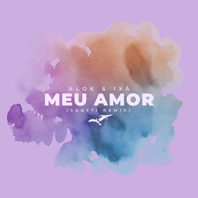 Meu Amor - Santti Remix