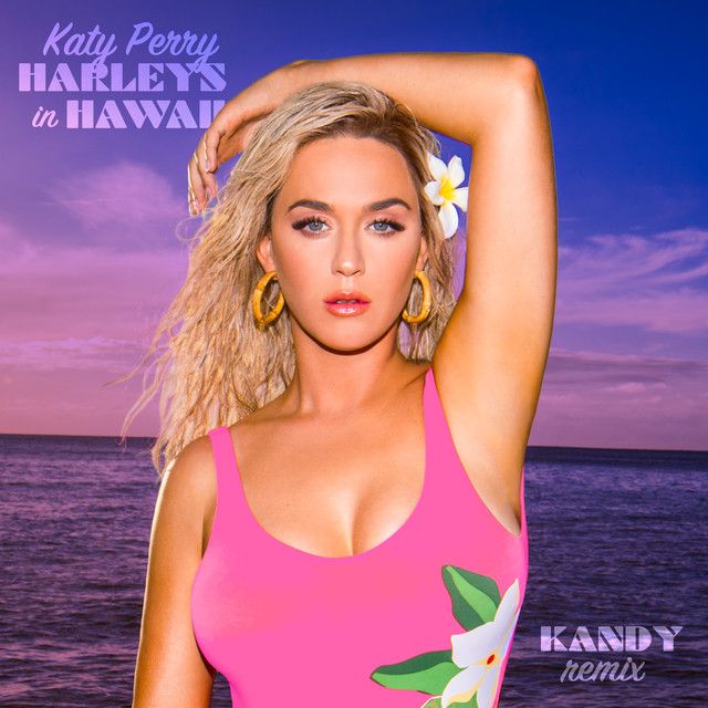 Harleys In Hawaii - KANDY Remix